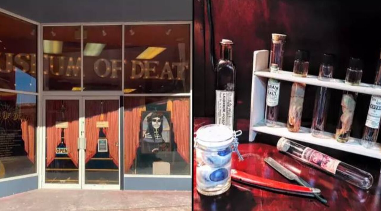 موزهای که باعث حالت تهوع و غش کردن در بازدیدکنندگانش میشود/ عکس