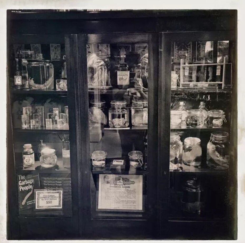 موزهای که باعث حالت تهوع و غش کردن در بازدیدکنندگانش میشود/ عکس