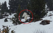 پیدا شدن موی غول برفی در کوهستان!/ عکس