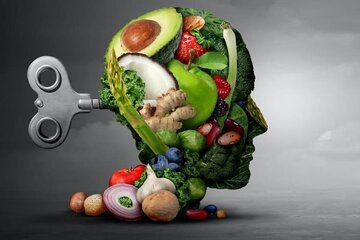 جلوگیری از کوچک‌شدن مغز با این ۵ ماده غذایی