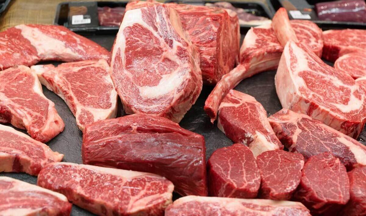 - گوشت شتر گران شد ؛‌ هر کیلو چند؟/ برخی قصابی‌ها گوشت گوساله را به جای گوشت شتر می‌فروشند!