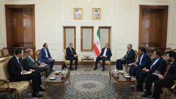 امیرعبداللهیان با نماینده ویژه دبیرکل سازمان ملل دیدار کرد