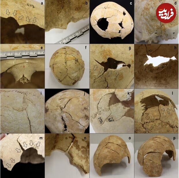 کشف اسکلت ۵ هزارساله مردانی که در «قدیمیترین جنگ اروپا» کشته شدند/ عکس