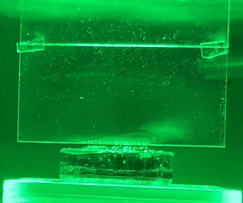 Water-Evaporated-Hydrogel-Using-Green-Light.gif