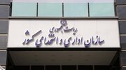 ببینید | هشدار رئیس سازمان ملی مهاجرت به استخدام کارگر خارجی غیرمجاز