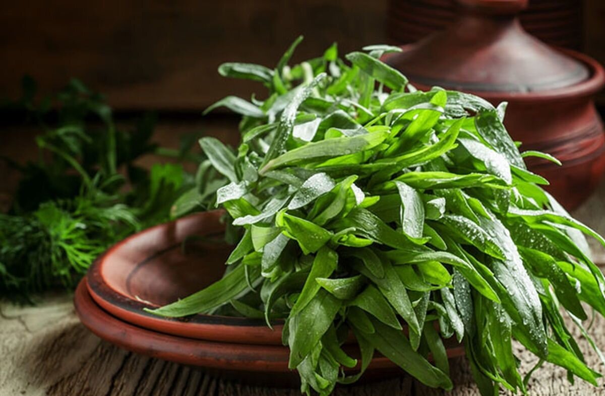 واقعا روزه تقویت کننده حافظه است؟/ این سبزیها را از وعده سحر حذف کنید