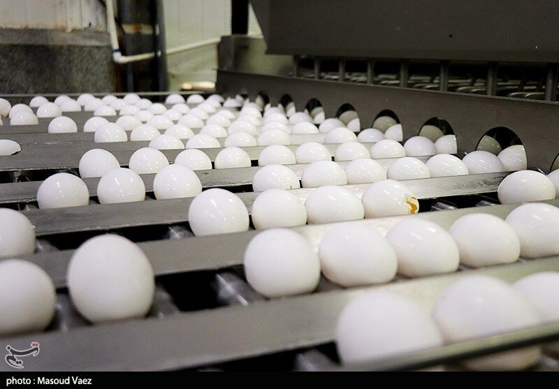- قیمت جدید تخم‌مرغ در بازار روز اعلام شد + جدول