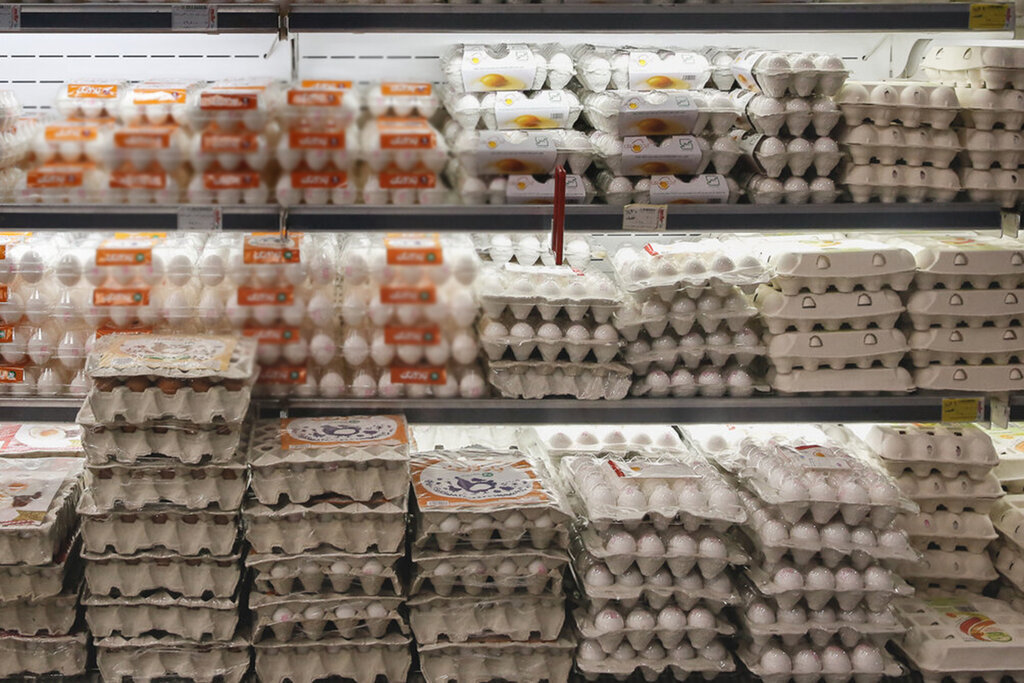 جدیدترین قیمت تخم مرغ محلی و بسته بندی در بازار/ قیمت هر شانه تخم مرغ ۲۰ عددی چند شد؟