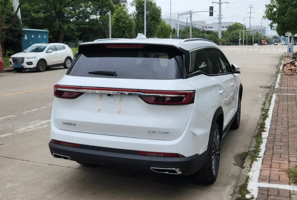 برادر بزرگتر و هیبریدی فیدلیتی با چهرهای عجیب در آستانه ورود به بازار چین/عکس