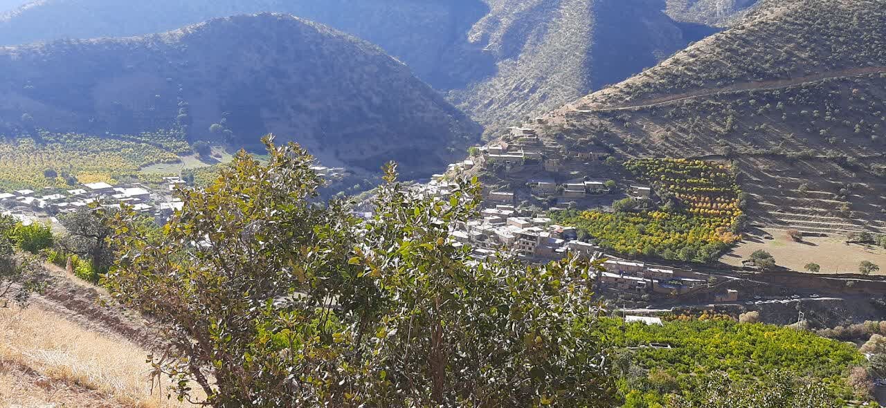 یاقوتهای سرخ در پیچوتاب دلهمرز