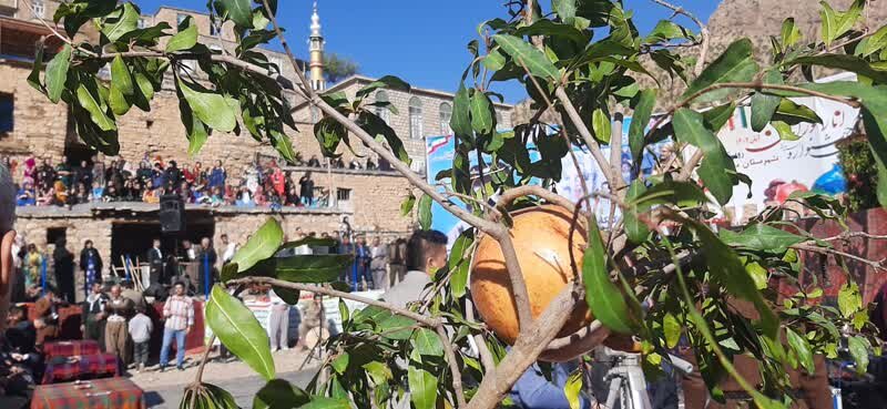 یاقوتهای سرخ در پیچوتاب دلهمرز