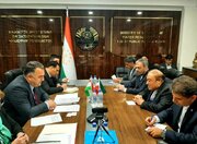 بررسی همکاری ایران و تاجیکستان در بخش انرژی/ تأکید صفری بر اهمیت برگزاری نشست کمیسیون مشترک