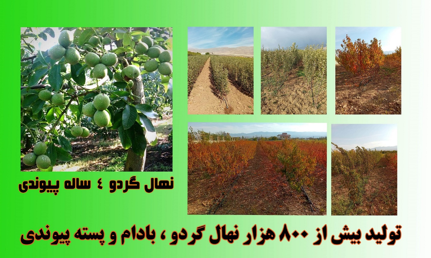 آیا نهال های رایگان خود را دریافت کرده اید؟