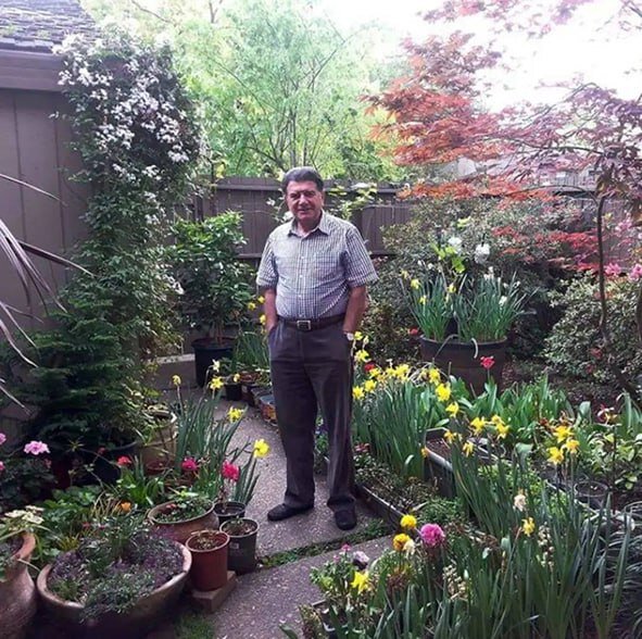 عکس | تصویری کمتر دیده شده از محمدرضا شجریان وسط یک باغچه پر از گل
