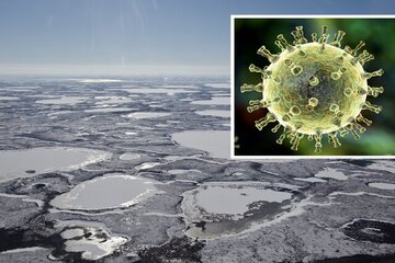 خطر آزاد شدن ویروسی کشنده/ نگرانی و هشدار دانشمندان