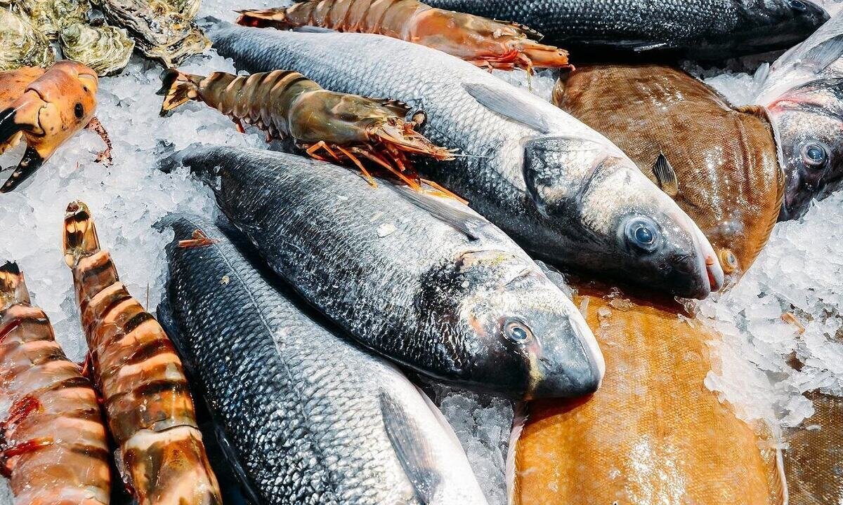 سرانه مصرف ماهی, قیمت آبزیان - ماهیانی که به ساحل نرسیده دلار می شوند!
