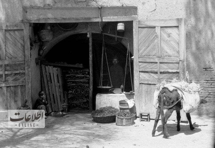 زغال فروشان به تهرانیها هشدار دادند/ عکس