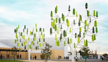 wind-trees.jpg