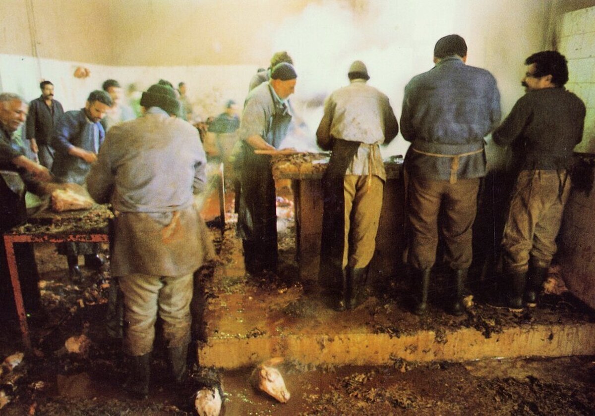 عجیبترین کتابخانه پایتخت کجاست؟