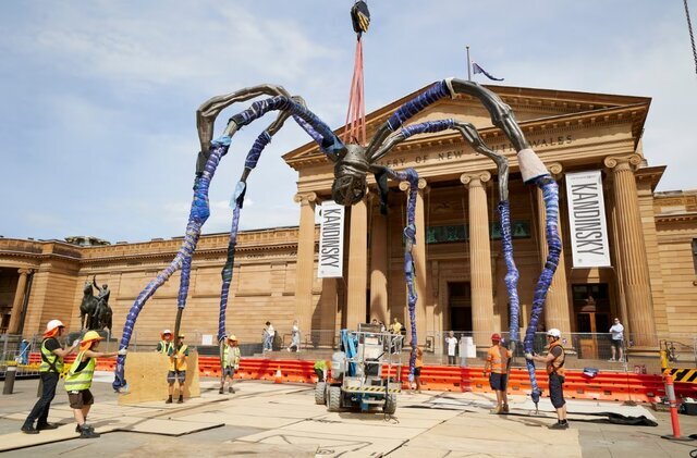 عنکبوت ۱۰ تُنی به سیدنی رسید