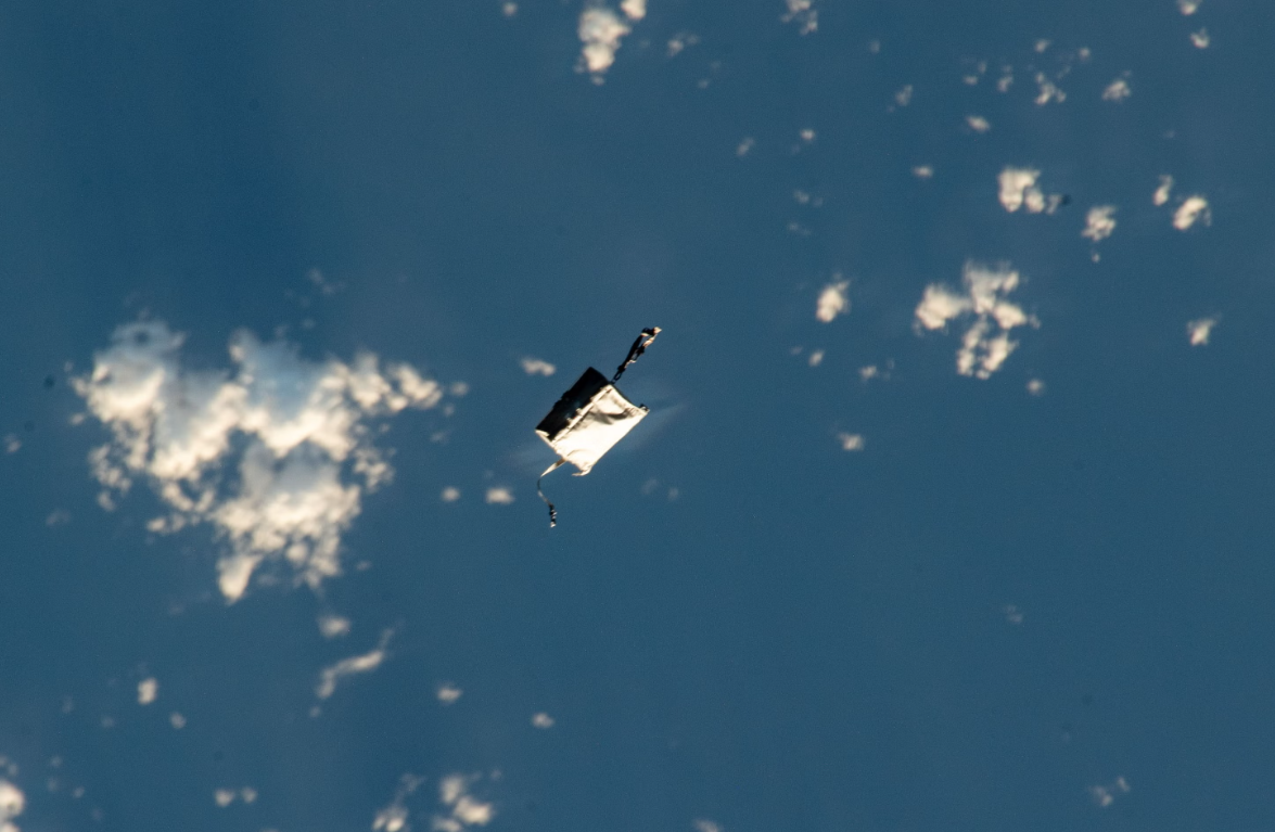 به آسمان نگاه کنید؛ کیف یاسمین مقبلی قابل مشاهدهاست!/ عکس