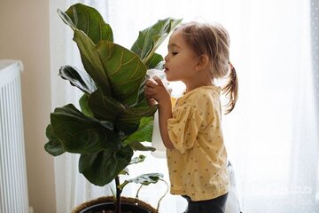 هشدار به والدین؛ این ۸ گیاه سمی و خطرناک را بشناسید