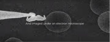 رونمایی از کوچکترین سبیل جهان/ دیدنش میکروسکوپ می‌خواهد/ عکس