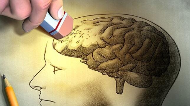 خوراکی خوشمزهای که باعث آلزایمر میشود