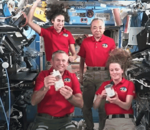 جشن گرفتن یاسمین مقبلی و دیگر فضانوردان در ایستگاه فضایی/ عکس
