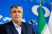 رئیس سازمان انرژی اتمی:
نیروگاه «ایران هرمز» توسط متخصصان داخلی ساخته می‌شود/هیچ کشور خارجی در آن دخیل نیست
