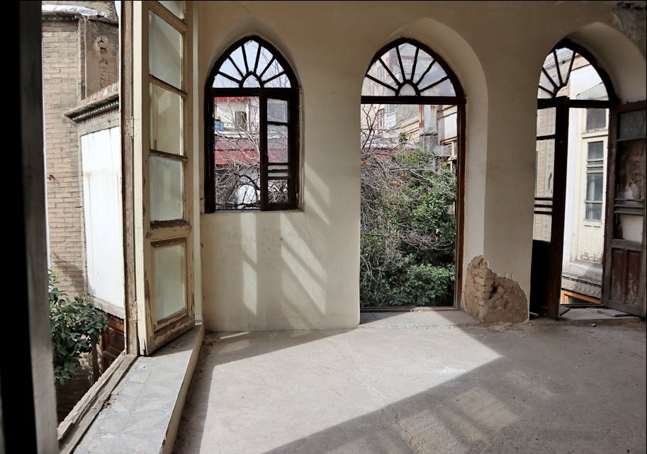 موریانهها یا خرگوشها؟