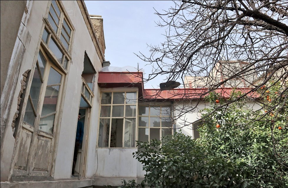 موریانهها یا خرگوشها؟