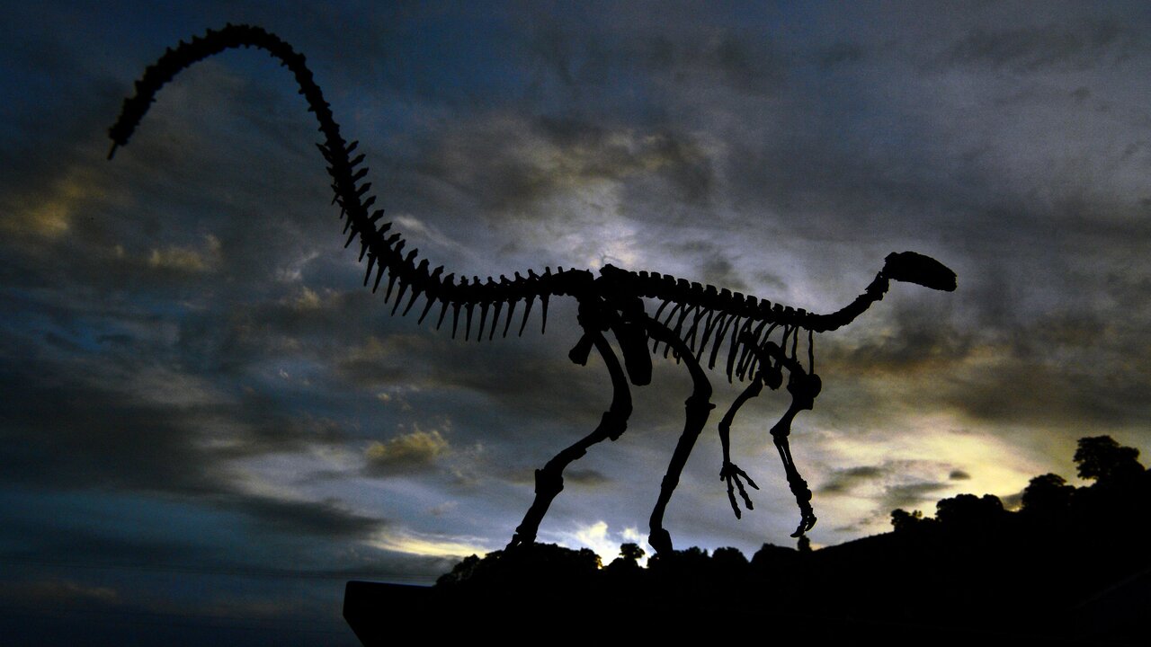 - کشف یک گونه تازه دایناسور در برزیل/ ردپایی از میلیون‌ها سال پیش