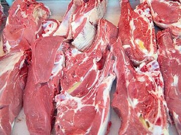 پیش‌بینی تولید بیش از ١٢ هزار تن گوشت قرمز توسط عشایر کرمانشاه