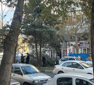 تندباد، ارومیه را درنوردید / سقوط درختان و تابلوهای تبلیغاتی
