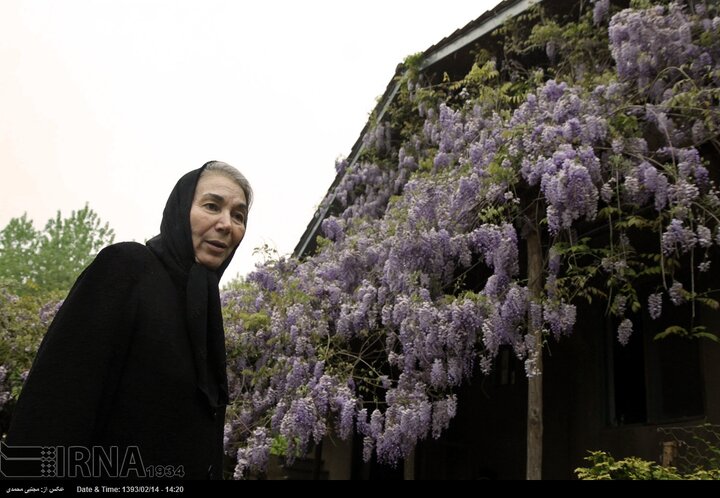 زندگی پروانه معصومی در روستا