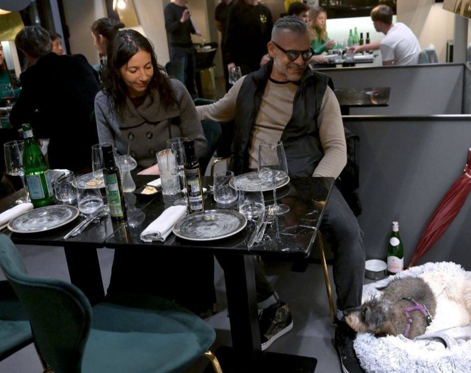 افتتاح اولین رستوران سگها در ایتالیا/ عکس