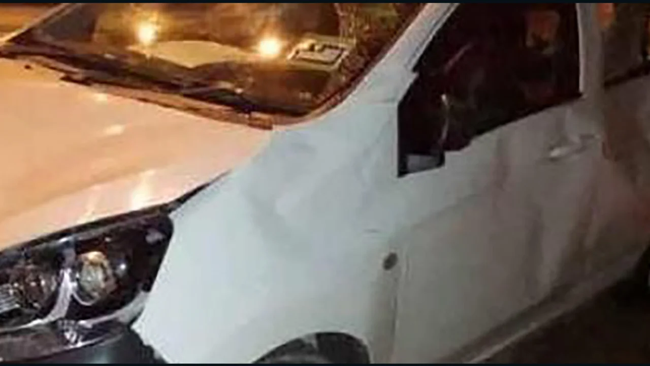 نتیجه برخورد یک بچه فیل با خودروی شما!/ عکس