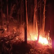 اطفای آتش در ۱۰۵ هکتار از اراضی جنگلی گیلان/ ۱۰۰۰ نیرو پای کار بودند