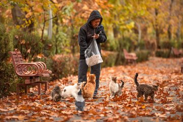 حال و هوای پاییزی پارک‌ لاله تهران