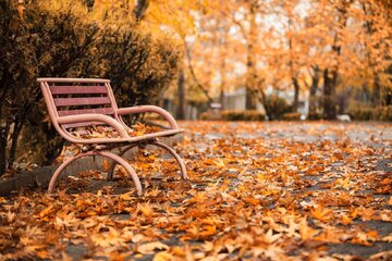 حال و هوای پاییزی پارک‌ لاله تهران