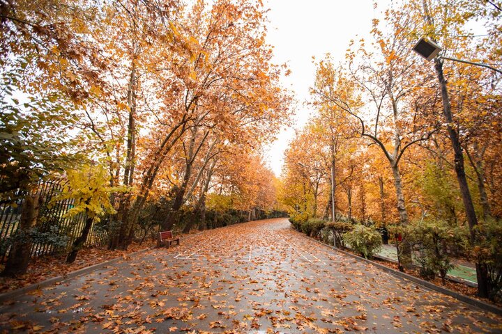 حال و هوای پاییزی پارک‌ لاله تهران
