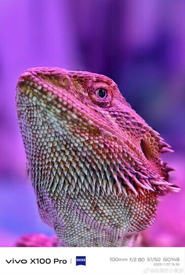 رقیب سرسخت سامسونگ/ نمونه عکسهای گوشی چینی غوغا به پا کرد!/ عکس