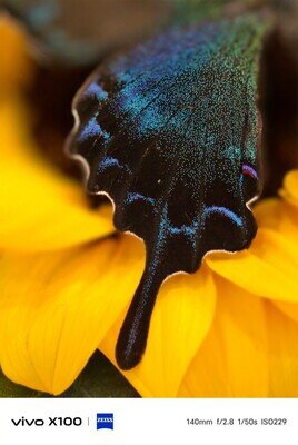 رقیب سرسخت سامسونگ/ نمونه عکسهای گوشی چینی غوغا به پا کرد!/ عکس