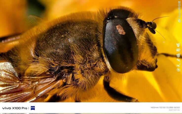 رقیب سرسخت سامسونگ/ نمونه عکسهای گوشی چینی غوغا به پا کرد!/ عکس