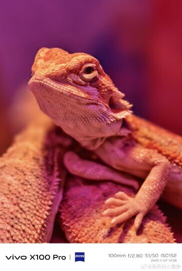 رقیب سرسخت سامسونگ/ نمونه عکسهای گوشی چینی غوغا به پا کرد!/ عکس