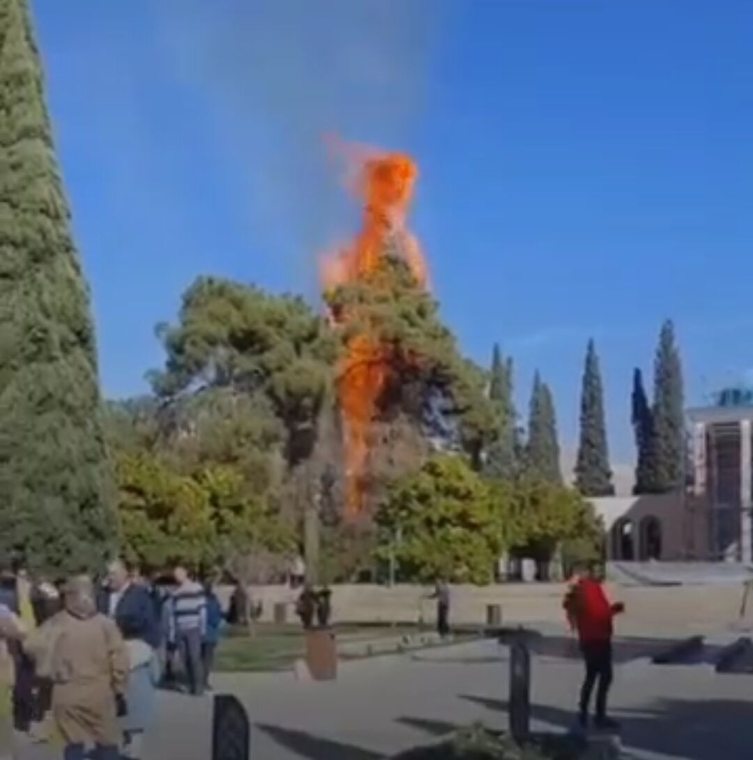 آتش سوزی در آرامگاه سعدی/ عکس