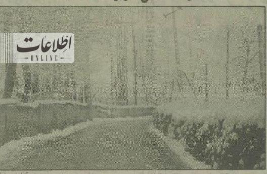 در اردبیل ۴۰ سانتیمتر برف نشست! + عکس