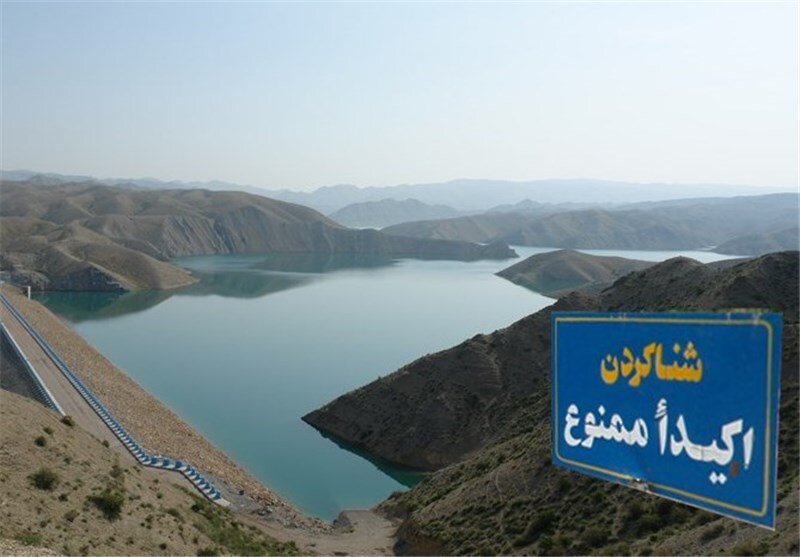 زندگی ۶۰هزار پرنده مهاجر در نیزارهای تالاب زریوار/نیزارها جزو جدای ناپذیر اکوسیستم تالاب