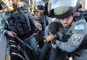ببینید | بوسه نوجوان اسیر فلسطینی بر پاهای مادرش پس از آزادی